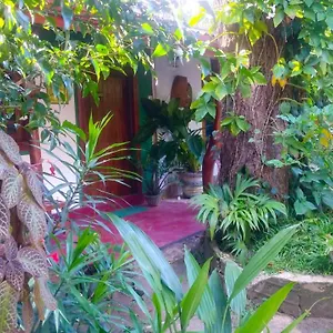  Séjour chez l'habitant Gangula Eco